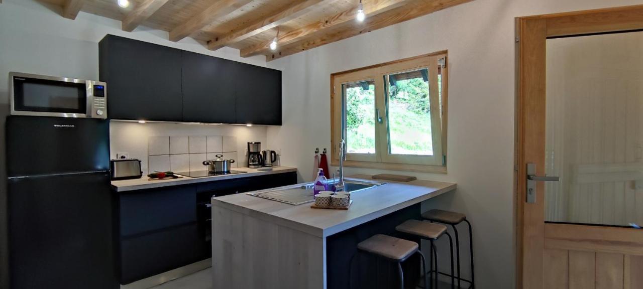 Chalet L'Alpe Saint-Pierre-d'Entremont  Ngoại thất bức ảnh