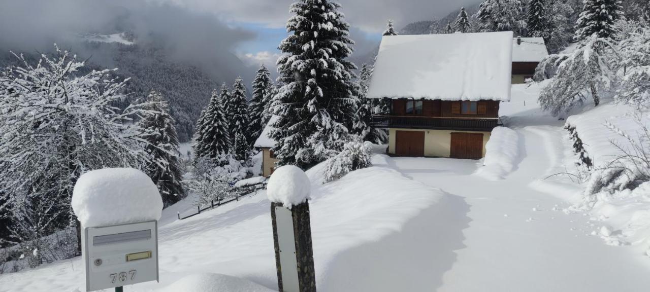Chalet L'Alpe Saint-Pierre-d'Entremont  Ngoại thất bức ảnh